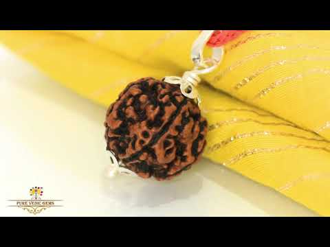 5 Mukhi Rudraksha Pendent in silver video