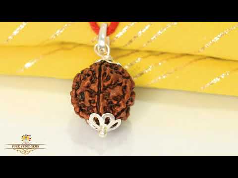 5 Mukhi natural rudraksha Pandent in silver video