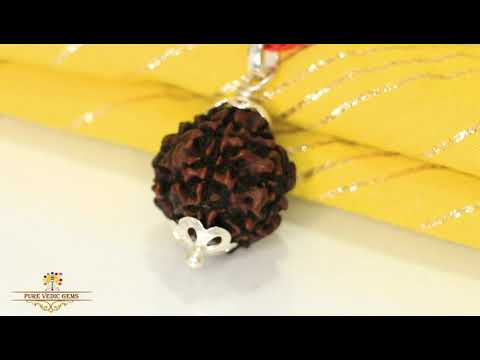5 Mukhi natural rudraksha Pendent in silver video