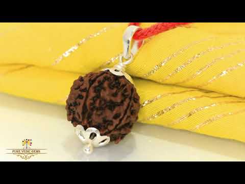 5 Mukhi natural rudraksha Pendent in silver video