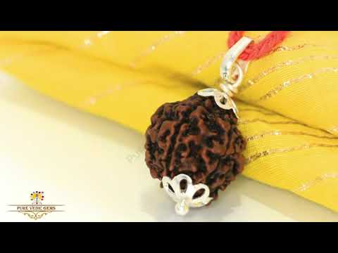 5 Mukhi Rudraksha Pendent in silver video