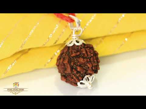 5 Mukhi natural rudraksha Pendent in silver video