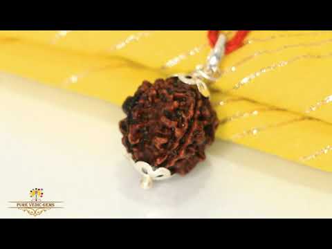 5 Mukhi natural rudraksha Pendent in silver video