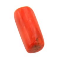 Lowest Quality Red Coral Gemstone — Lower-Quality-1-1.jpg