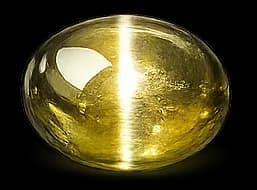 Cat's Eye (Lehsunia) Complete Guide