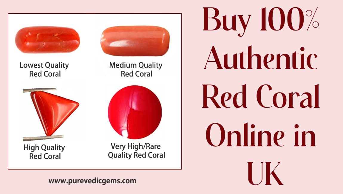 Buy 100% Authentic Red Coral Online in UK