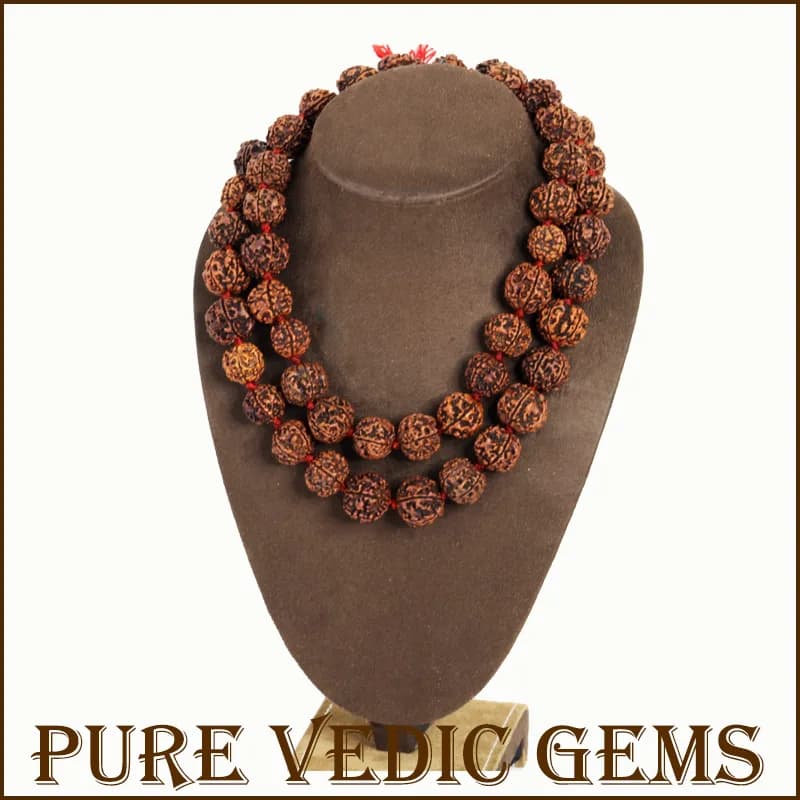 Five Mukhi Rudraksha Mala — image 1