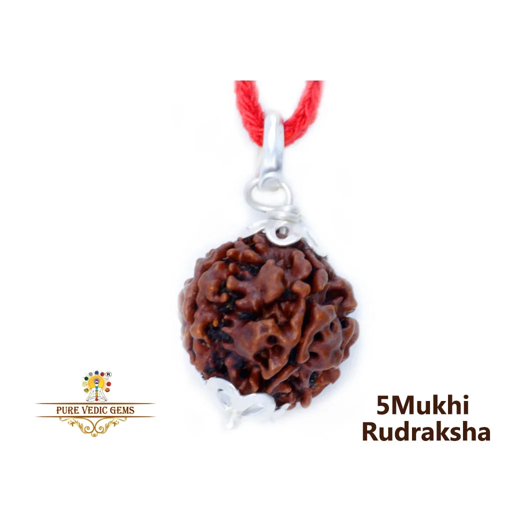 5 Mukhi Rudraksha Pendent in silver — image 1