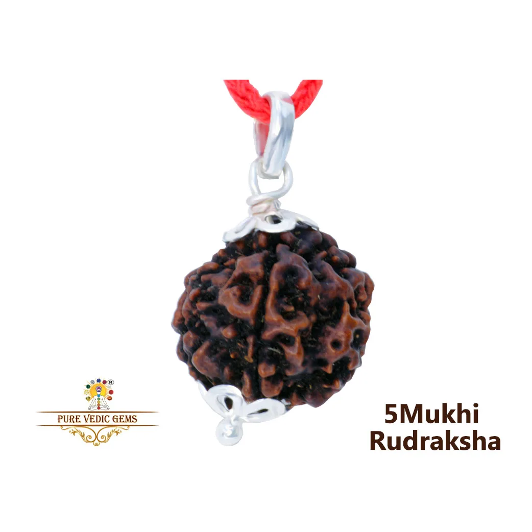 5 Mukhi Rudraksha Pendent in silver — image 1