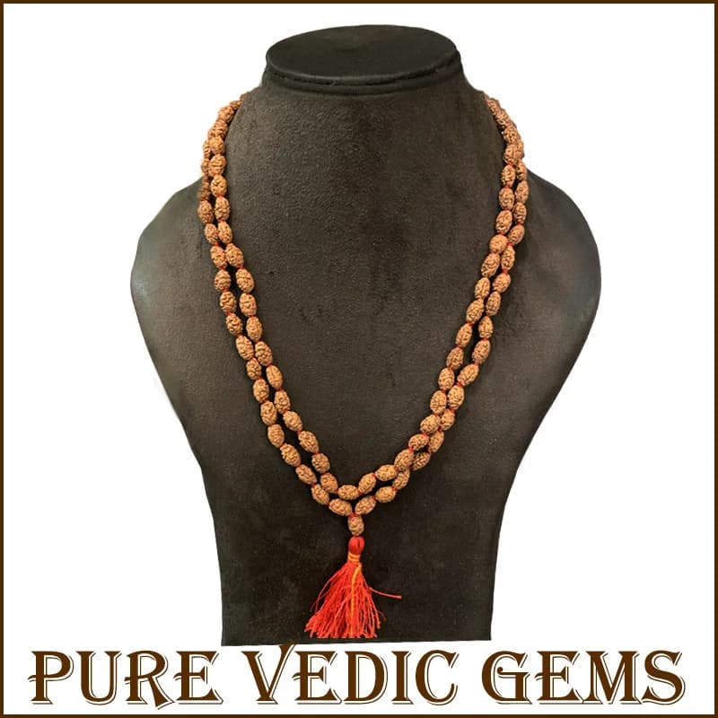 Two Mukhi Rudraksha Mala — image 1
