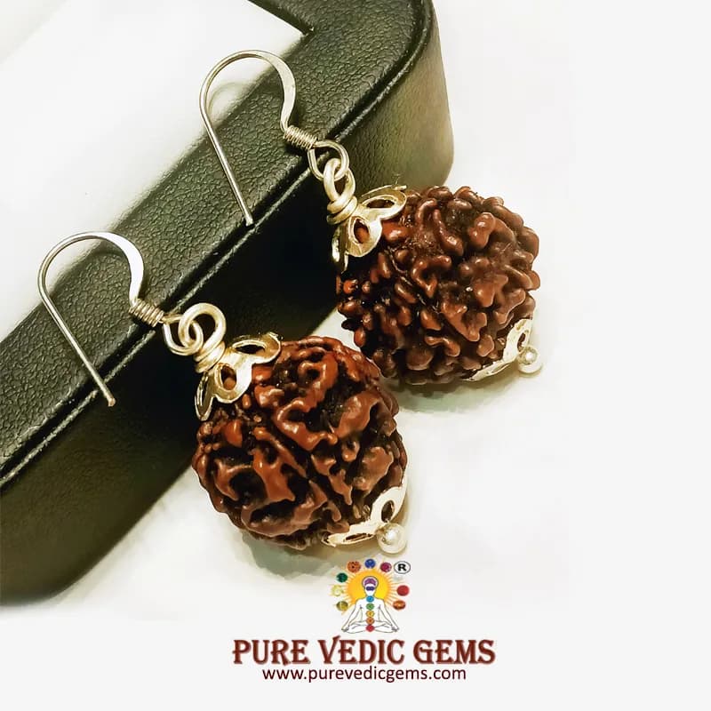 5 Mukhi natural rudraksha Tops in silver — image 1