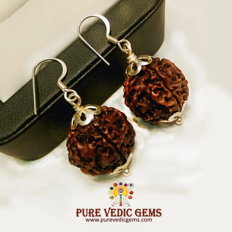 5 Mukhi natural rudraksha Tops in silver — image 1