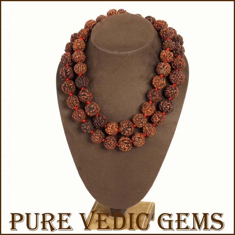 Five Mukhi Rudraksha Mala — image 1