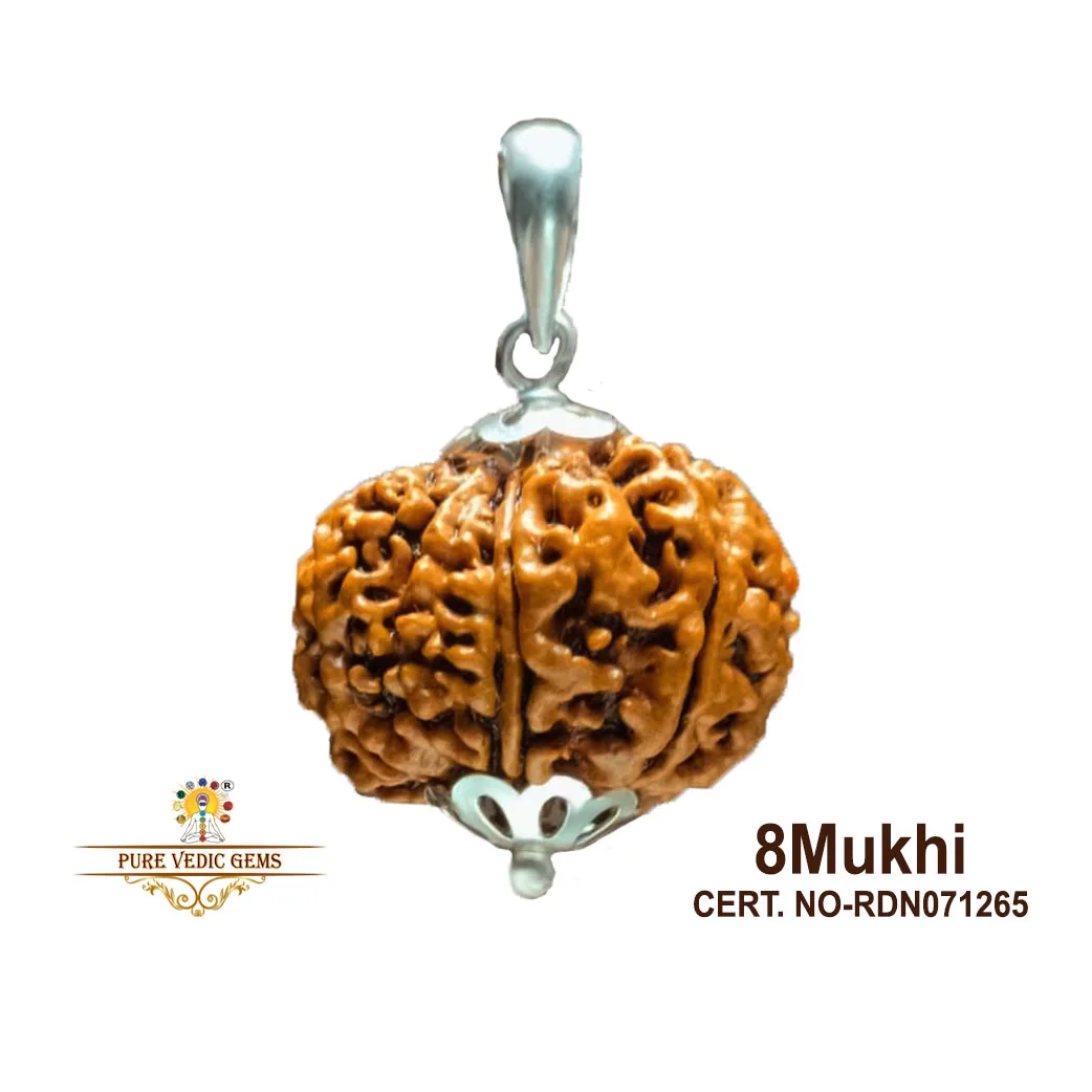 8 Mukhi natural rudraksha pendent in silver — image 1