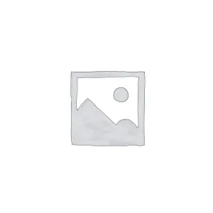 2 Mukhi Rudraksha (0.946g) — image 1