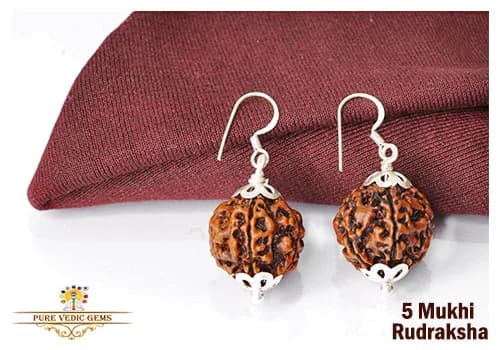 5 Mukhi natural rudraksha tops in silver — image 1
