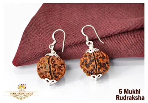 5 Mukhi natural rudraksha tops in silver — image 1
