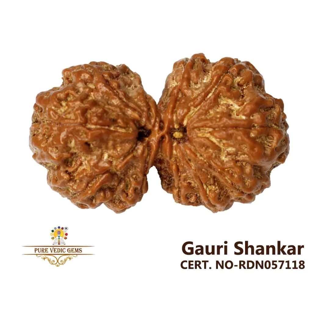 Gauri Shankar Rudraksha