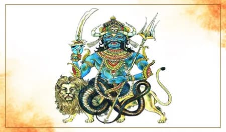 Rahu Shanti Yagya