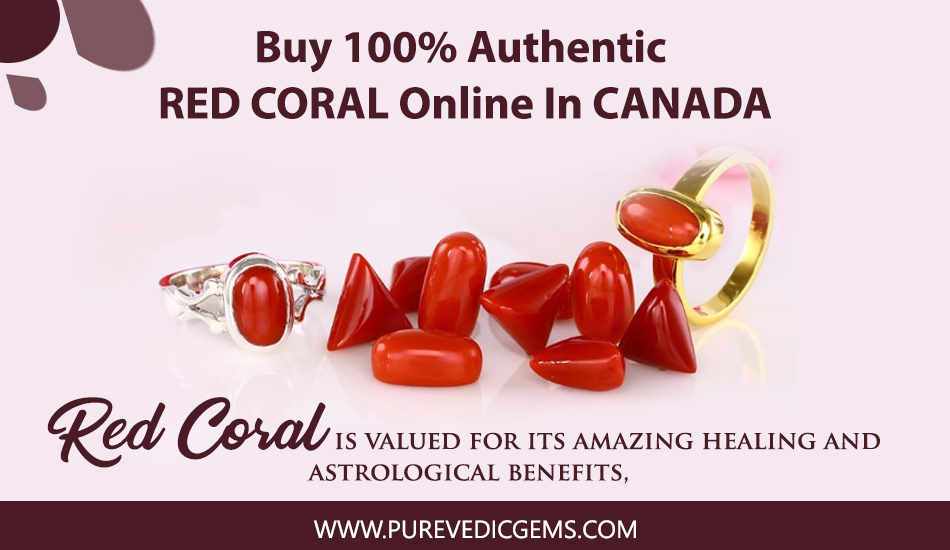 Buy 100% Authentic Red Coral Online In Canada